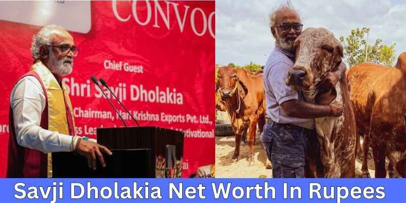 Savji Dholakia Net Worth| सूरत के सबसे अमीर बिजनेसमैन है सावजी ढोलकिया 1 Savji Dholakia Net Worth 2024