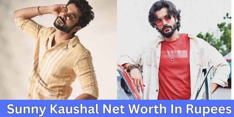 Sunny Kaushal Net Worth| सनी कौशल की नेट वर्थ Vicky Kaushal से भी है ज्यादा 1 Sunny Kaushal Net Worth