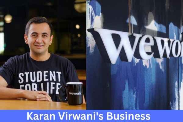 Karan Virwani Net Worth & Business