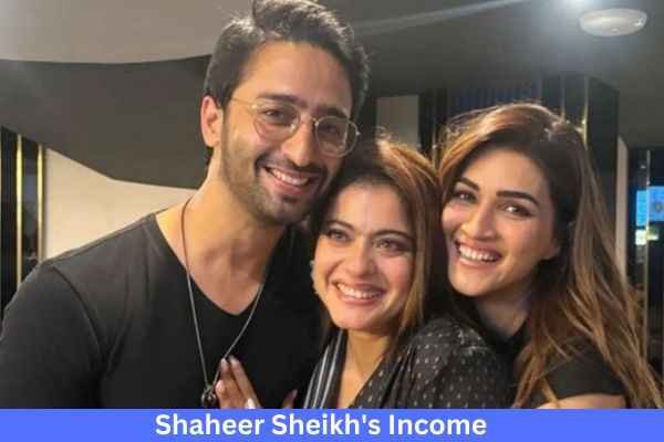 Shaheer Sheikh Net Worth And Income