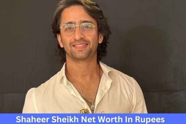 महाभारत के अर्जुन Shaheer Sheikh Net Worth है 50 करोड़ से भी ज्यादा 1 Shaheer Sheikh Net Worth In Rupees